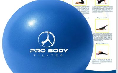 ProBody Pilates Mini Pelota de Ejercicio – Bola de 9 Pulgadas para Entrenamiento de Pilates